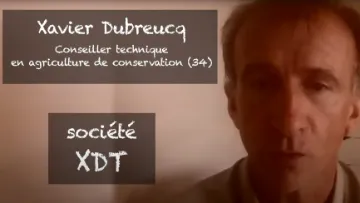 societe xdt